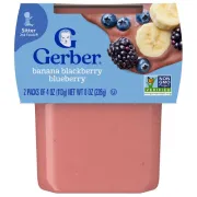GERBER 2ND FOODS BANANA BLACKBERRY BLUEBERRY 2 PACK 4OZ EACH