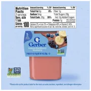 GERBER 2ND FOODS BANANA BLACKBERRY BLUEBERRY 2 PACK 4OZ EACH
