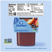 GERBER 2ND FOODS APPLE BLUEBERRY 2 PACK 4OZ EACH