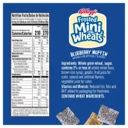 FROSTED MINI WHEATS BLUEBERRY MUFFIN 20OZ